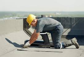 Best Roof Waterproofing  in Rosenhayn, NJ